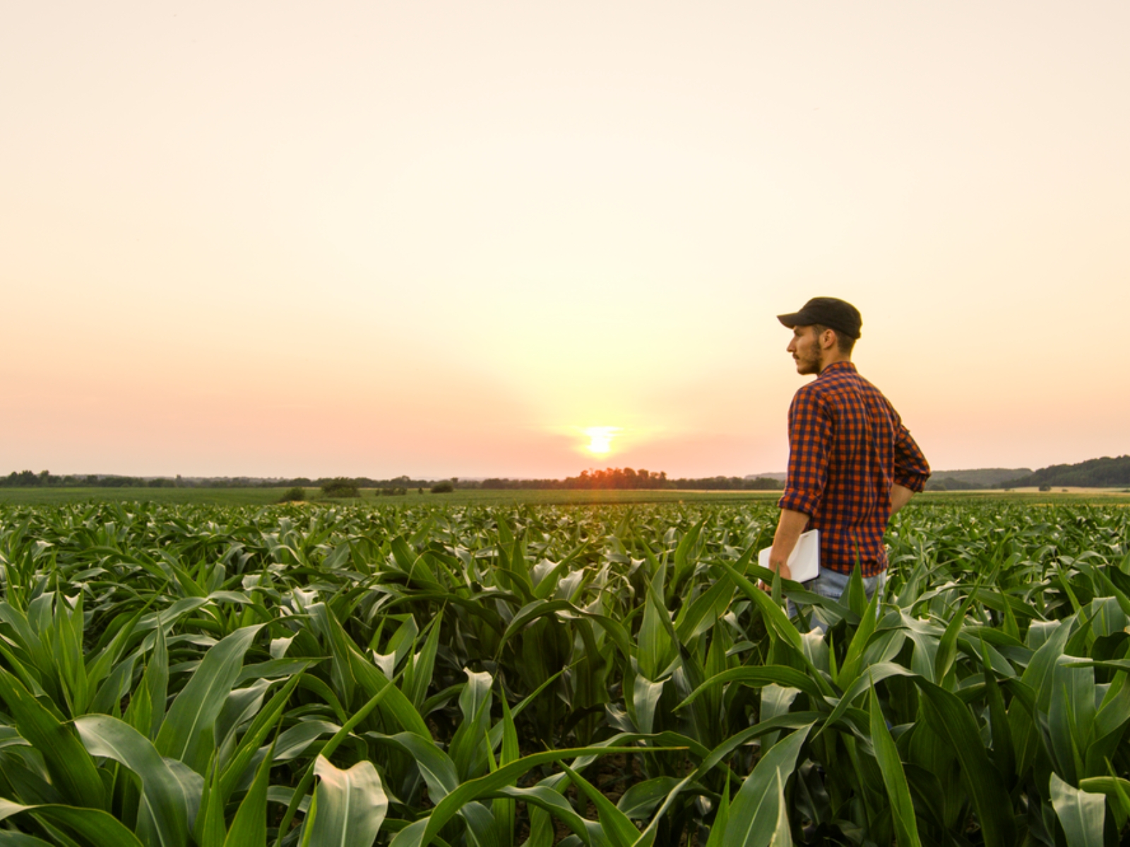 Syngenta apoia Diálogos Agrojor para fomentar debate sobre o futuro da comunicação