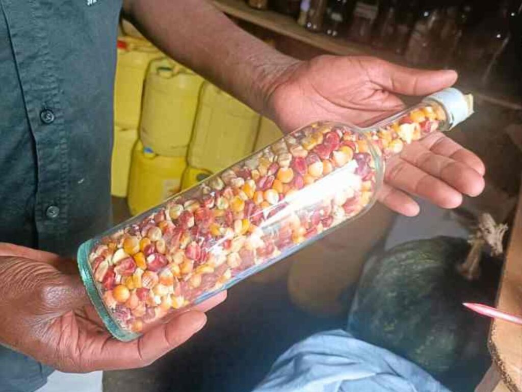 Nairóbi para o mundo: o futuro da agricultura global será discutido aqui