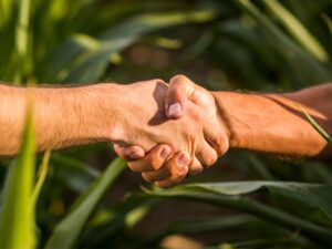 Agrojor promove webinar internacional