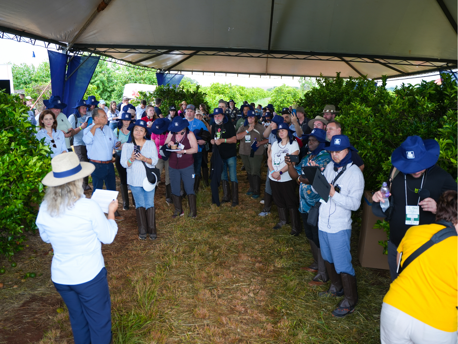 Yara lidera iniciativas para a descarbonização da cadeia de alimentos