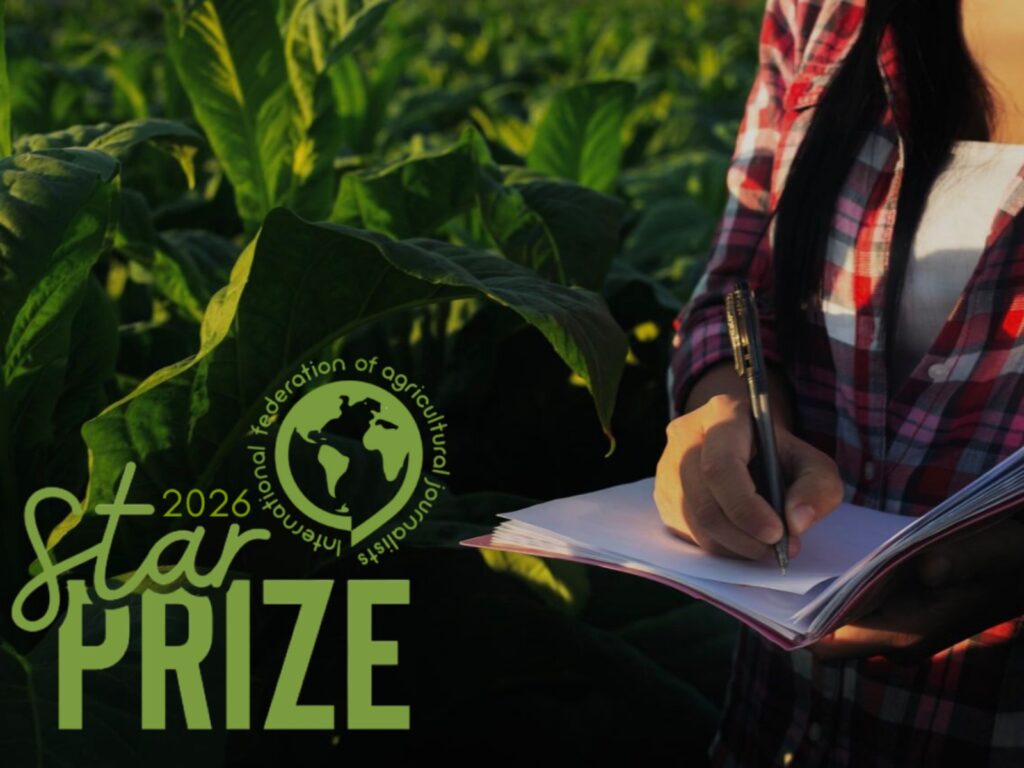 Estão abertas as inscrições para o Prêmio IFAJ Star Prize 2026